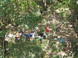 arbuda-270609 (26).html